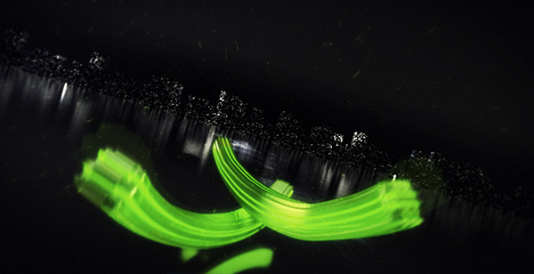 Digital Ribbon Logo Reveal - 10